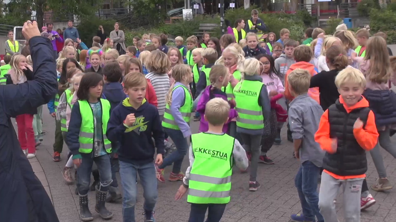 Europeisk mobilitetsuke